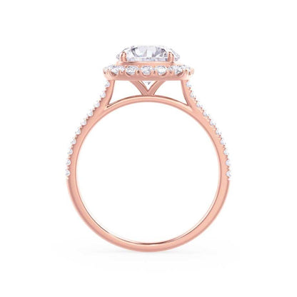 LAW275