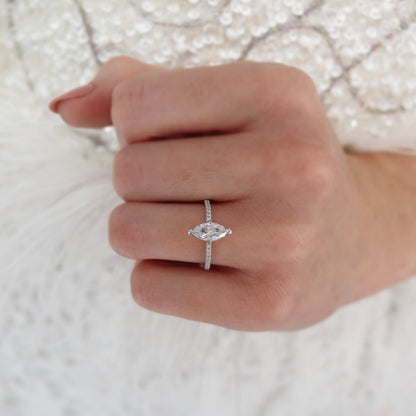 LAW287