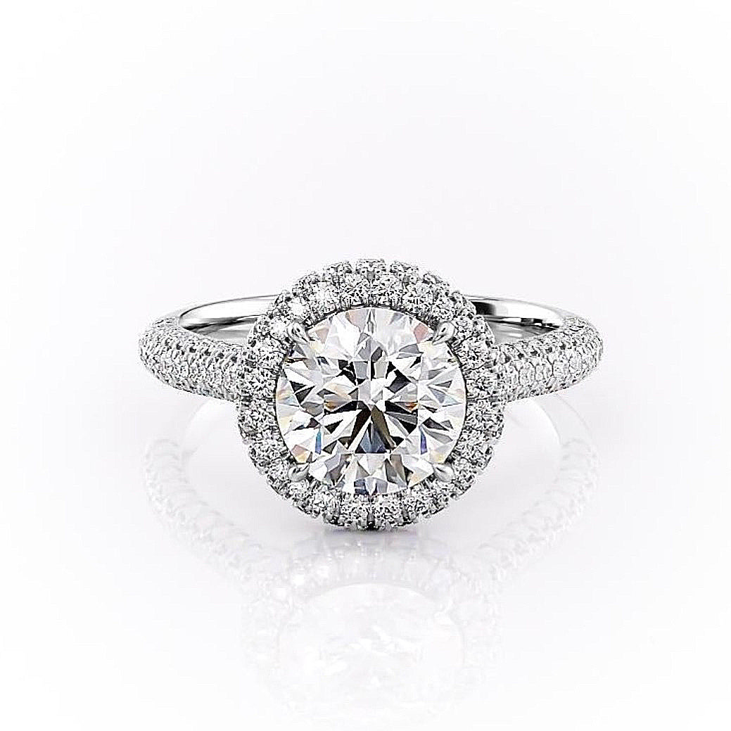 FLM013