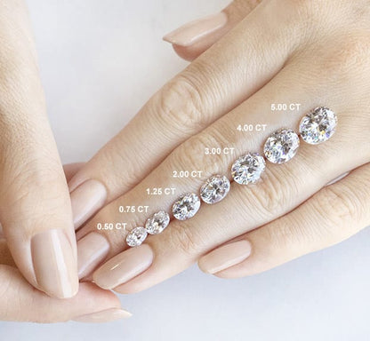 FLM088